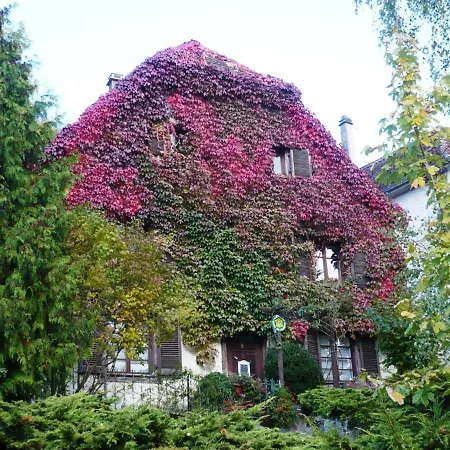 De Charme La Maison Des 5 Temps 3* Ferrette