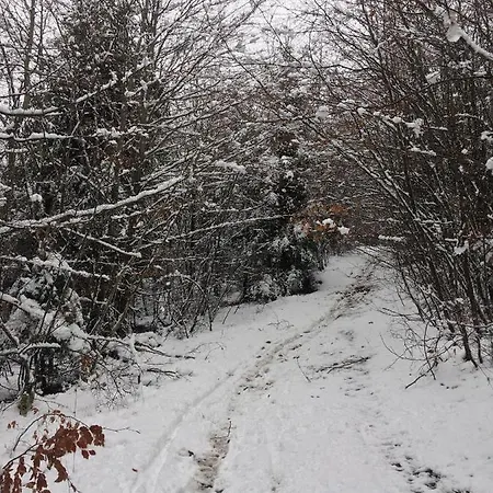 Panzió De Charme La Maison Des 5 Temps 3*