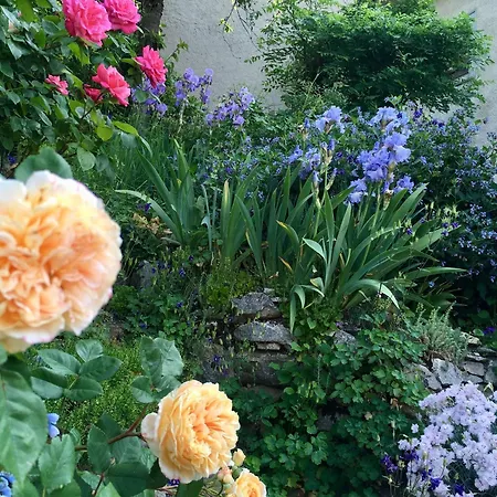 De Charme La Maison Des 5 Temps Ferrette