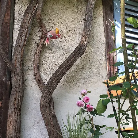 Panzió De Charme La Maison Des 5 Temps Ferrette