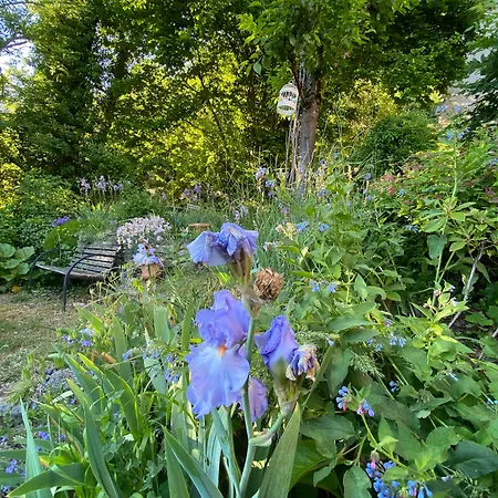 De Charme La Maison Des 5 Temps 3* Ferrette