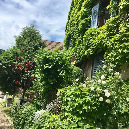 Panzió De Charme La Maison Des 5 Temps 3*