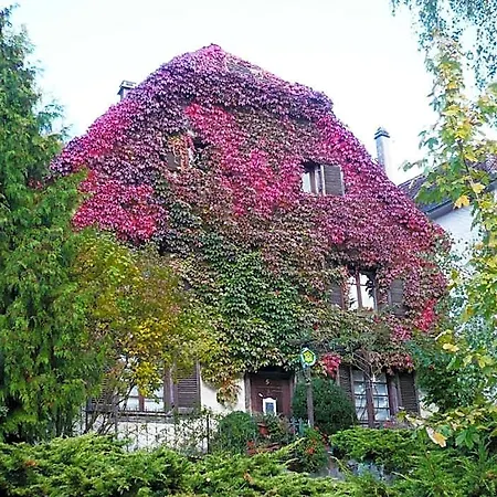 De Charme La Maison Des 5 Temps Bed & Breakfast 3*