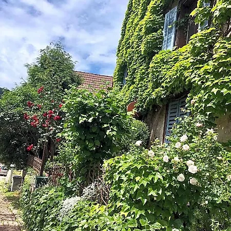 De Charme La Maison Des 5 Temps Bed & Breakfast Ferrette