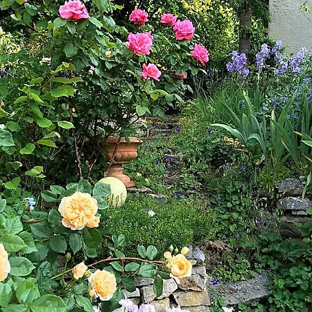 Bed & Breakfast De Charme La Maison Des 5 Temps Ferrette