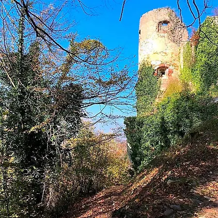 De Charme La Maison Des 5 Temps Bed & Breakfast