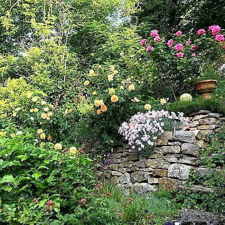 Bed & Breakfast De Charme La Maison Des 5 Temps Ferrette