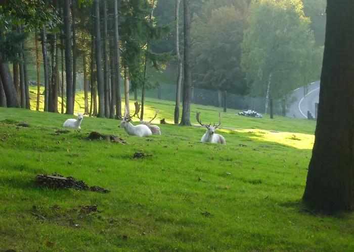 De Charme La Maison Des 5 Temps Bed & Breakfast Ferrette