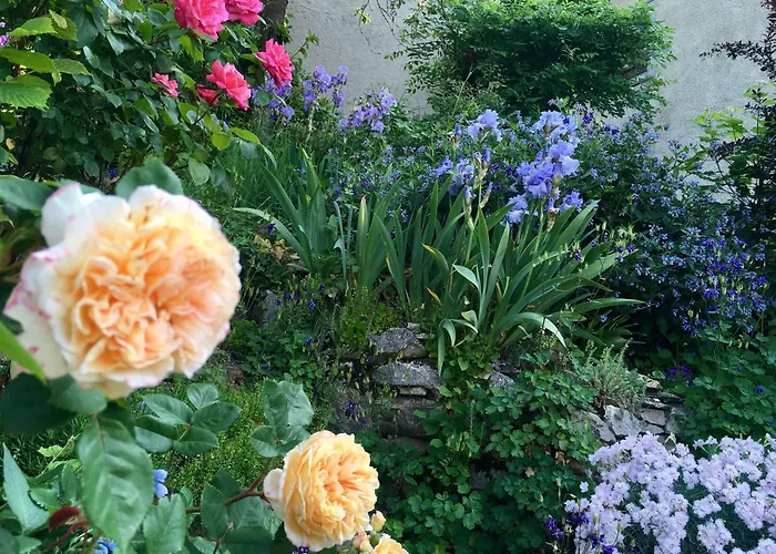 De Charme La Maison Des 5 Temps Ferrette